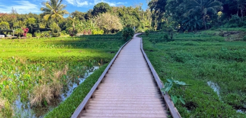 Ranikhet