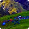 Almora Bedni bugyal