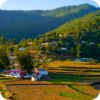 lmora Bedni bugyal Shimla Manali Dharamshala Solang valley Kullu Kasol Jaipur